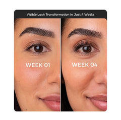 Eyelashe Growth Serum